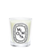 Mimosa Candle